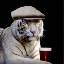 [Тигры] Ash's avatar