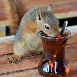 Justice Man's avatar