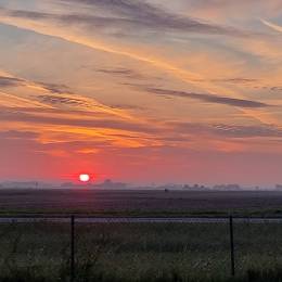 (BE) Kletske269's avatar