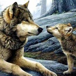 Maniek77 (PL)'s avatar