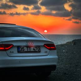 NİGHT SHOT's avatar