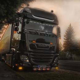 HaNyS (FURRY)'s avatar