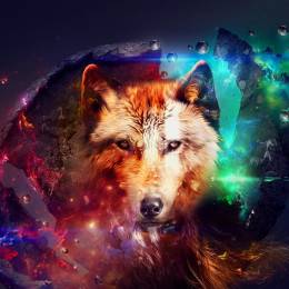 Francesco Rossi's avatar