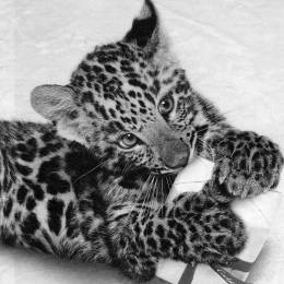 Gαbrielα.'s avatar