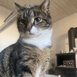 Marvin05_CH's avatar