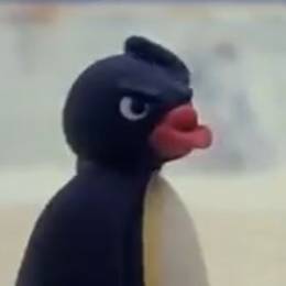 Raupe nimmersatt's avatar