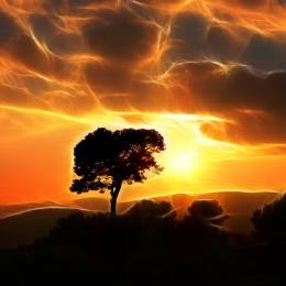 GhostyCrawdad's avatar