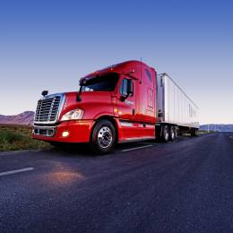 trippymaine3's avatar