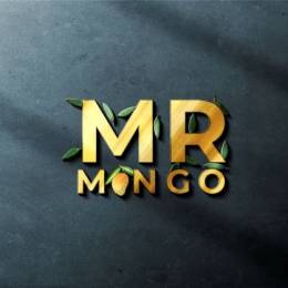 MR. Mango's avatar