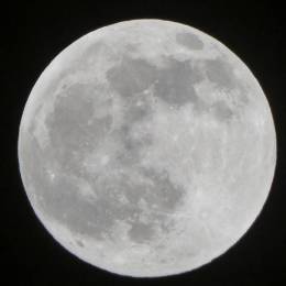 Coolster Pinguin's avatar