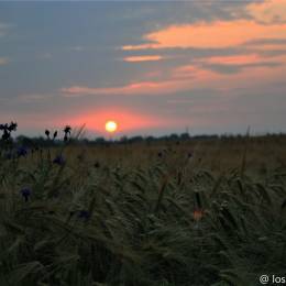 lpb Fotografie's avatar