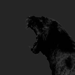 P_S_Y_C_H_O's avatar