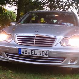 Dorsachse*GER*'s avatar