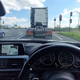 immortal766's avatar