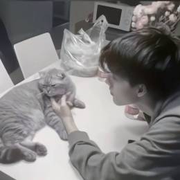 Xīng Yè Godv's avatar