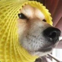 DogieLeSang's avatar