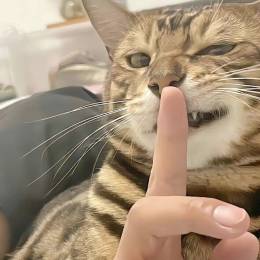 User_5733333's avatar