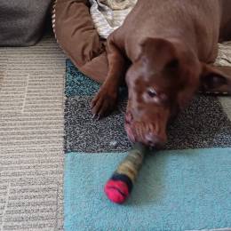 BudzLightYear's avatar