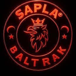 `S Λ P L Λ's avatar