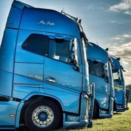 [WT] Bingo [CH]'s avatar