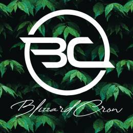 BlizzardCrow's avatar