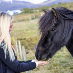 Bot Botdottir's avatar