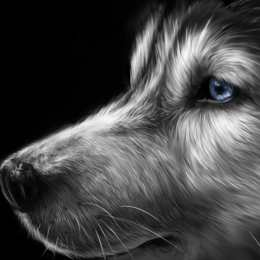 Gnl_Hugh122's avatar