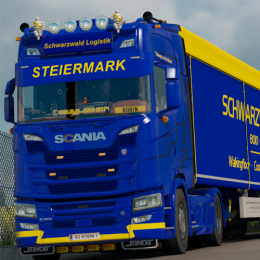 [GER] Robin's avatar