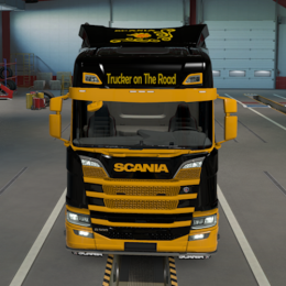 Trucker Rolli [GER]'s avatar