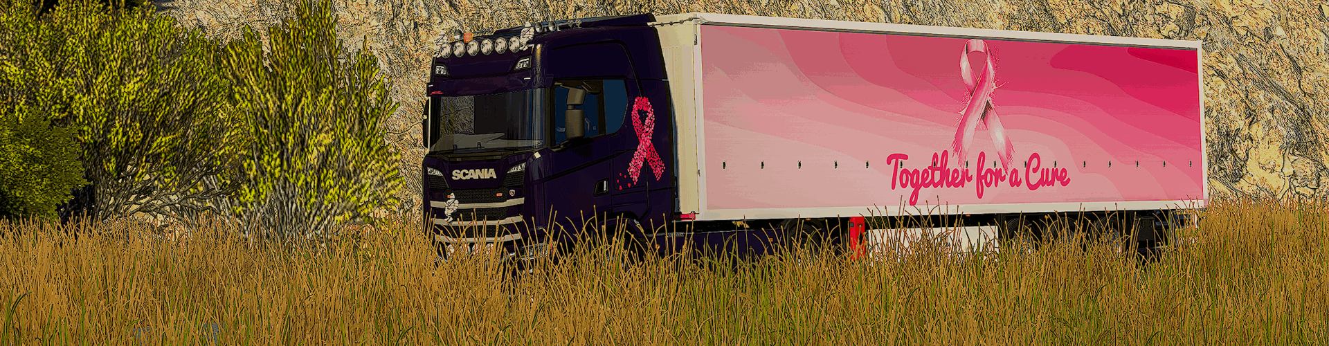 Together for a Cure - Mariam & Pink Ribbon VTC