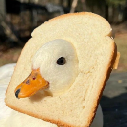 Fabian02020's avatar