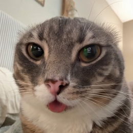 /:\ DerBrummiReiter /:\'s avatar