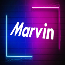 Marvin S.'s avatar