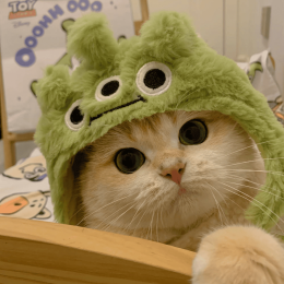 Microsoft Windows 11's avatar