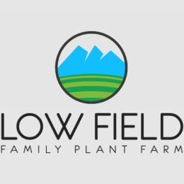 Ekin Iskender's avatar