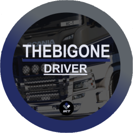 THEBIGONE981's avatar