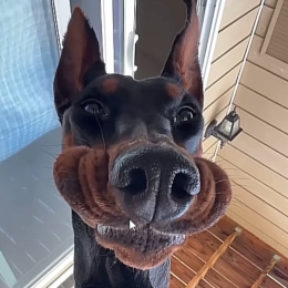 /:\Marc-Moppel/:\'s avatar