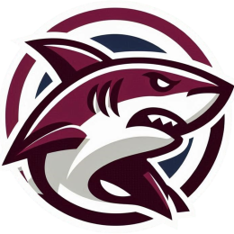 Başkent Logistics's VTC logo