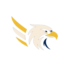 Zirve Logistics's VTC logo