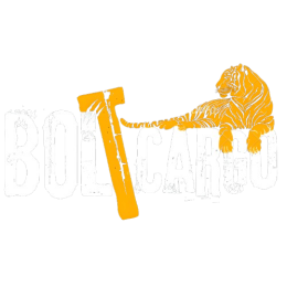 Bolt Cargo™